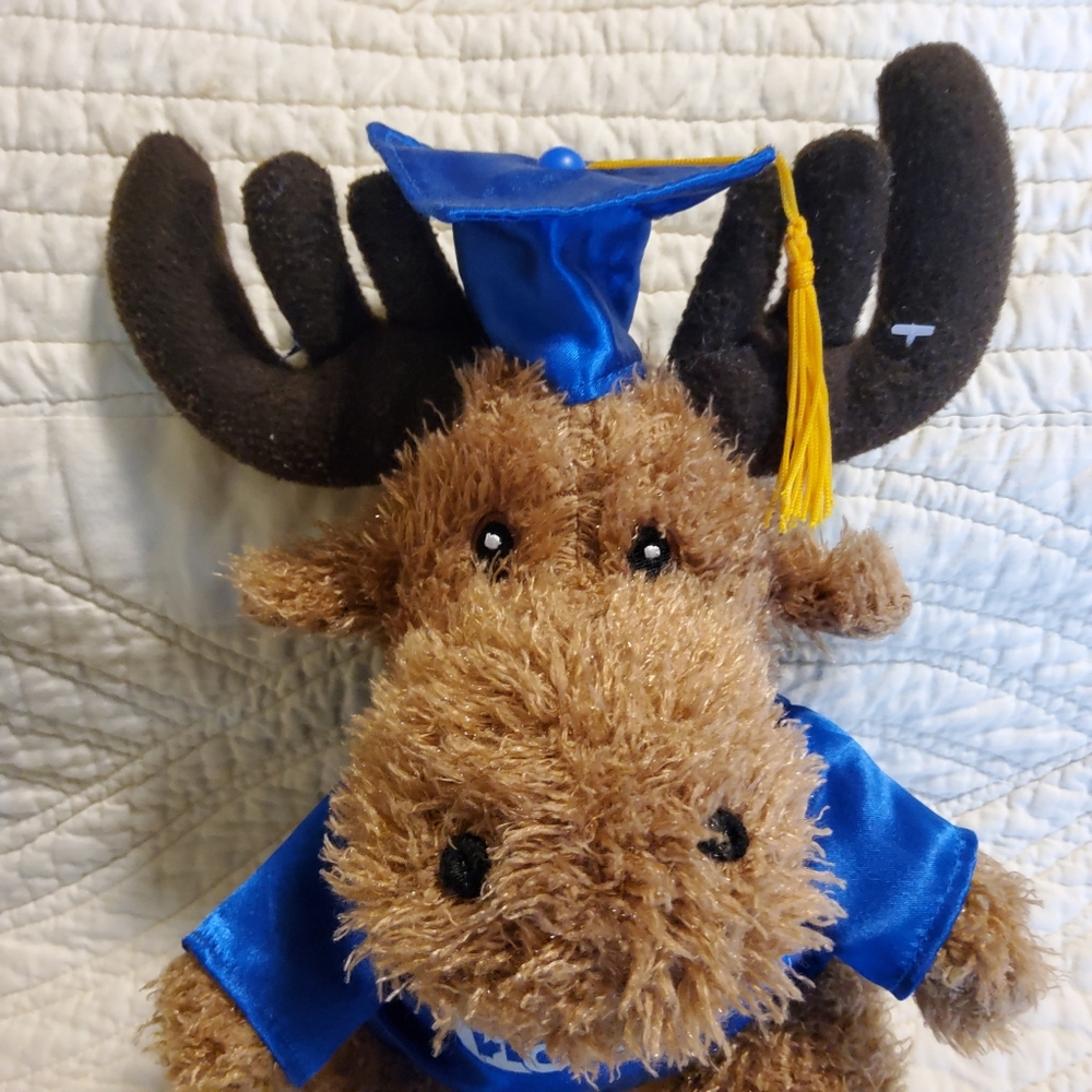 ILAC Graduation Moose - Picture 4 of 8